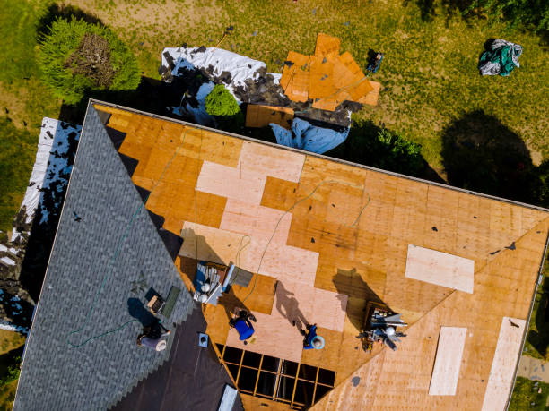 Best Metal Roofing Contractor  in Williamsburg, KY